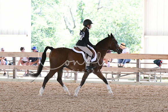 HSM_2184