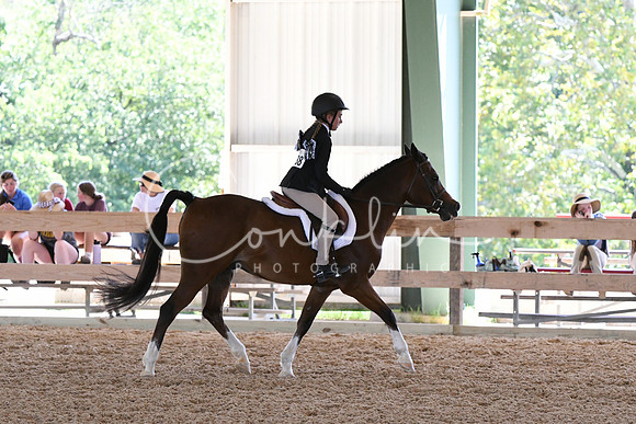 HSM_2185