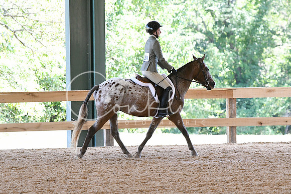 HSM_2186