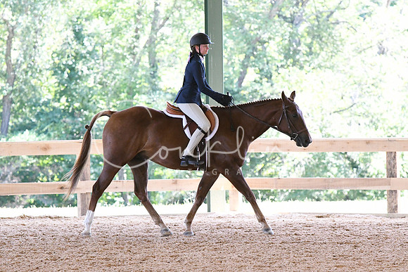 HSM_2193