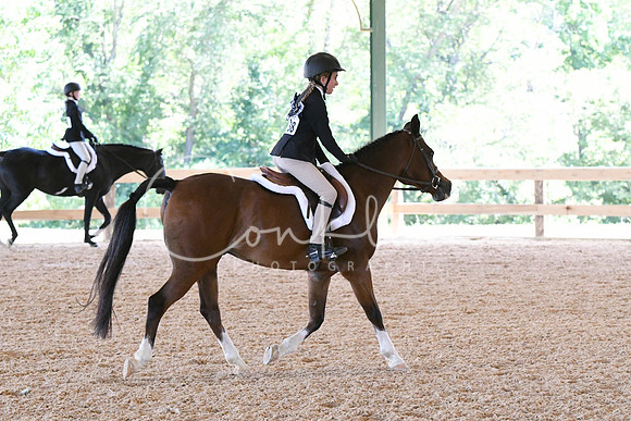 HSM_2199