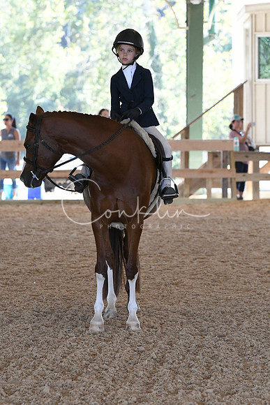 HSM_9628