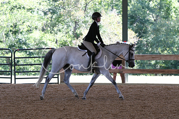HSM_2419