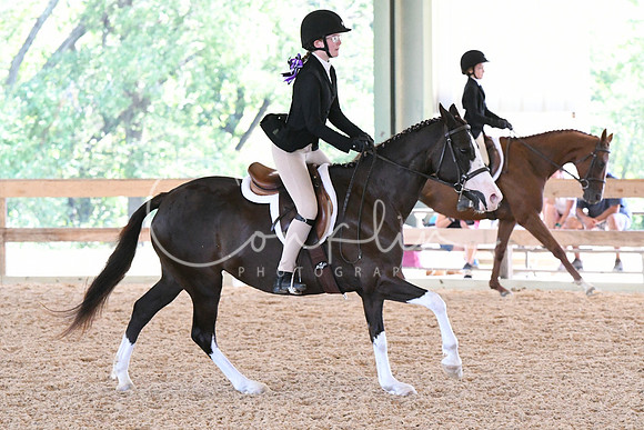 HSM_2451