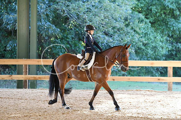 HSM_6875