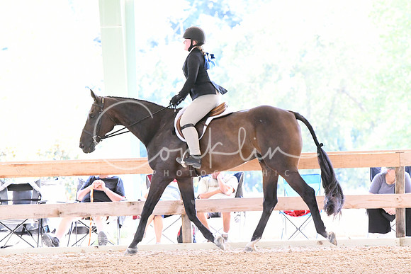 HSM_2538