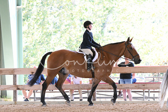 HSM_2571