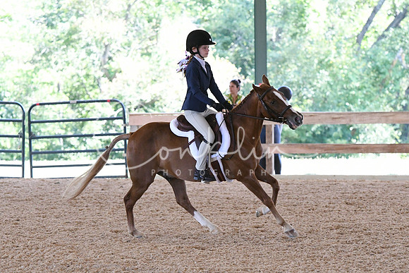 HSM_2578
