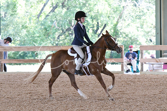 HSM_2579