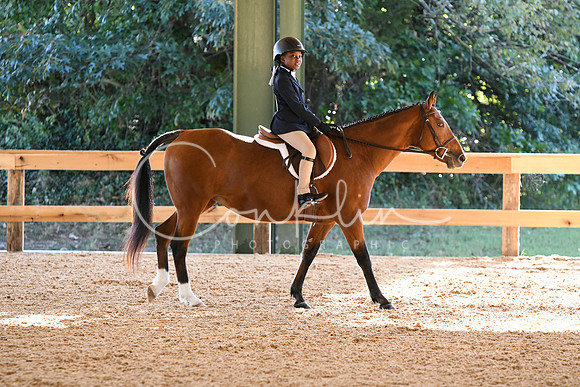 HSM_6929