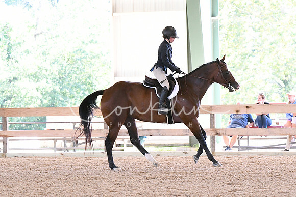 HSM_2587