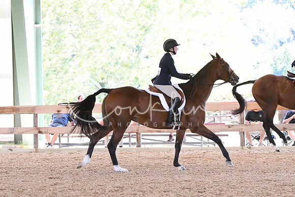 HSM_2589