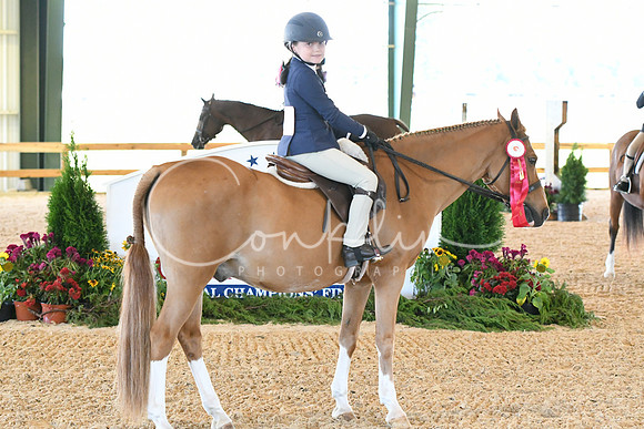 HSM_6953