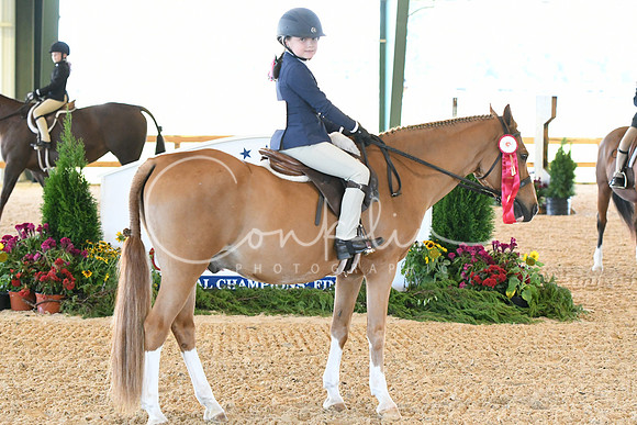HSM_6954