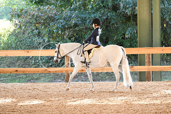 HSM_6971
