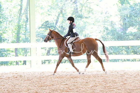 HSM_1285
