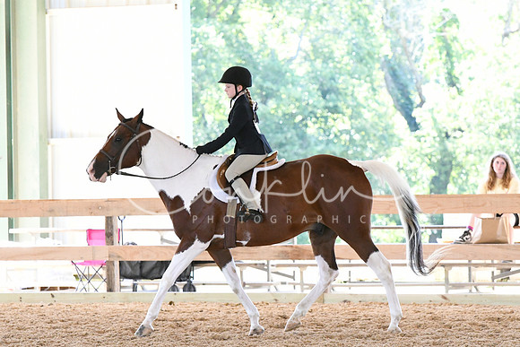 HSM_1293