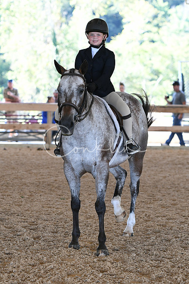HSM_7195