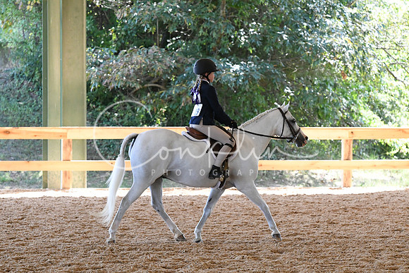 HSM_1333