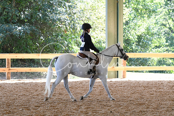 HSM_1334