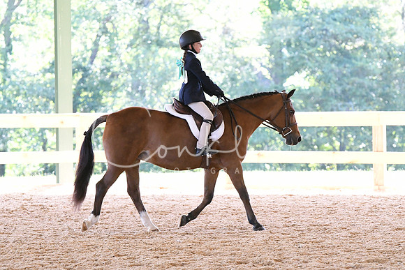 HSM_1350