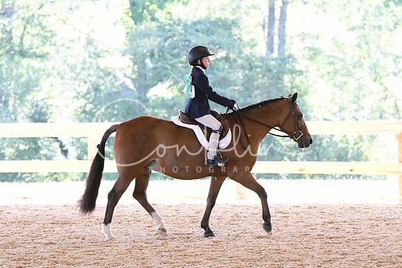 HSM_1351