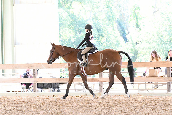 HSM_1363
