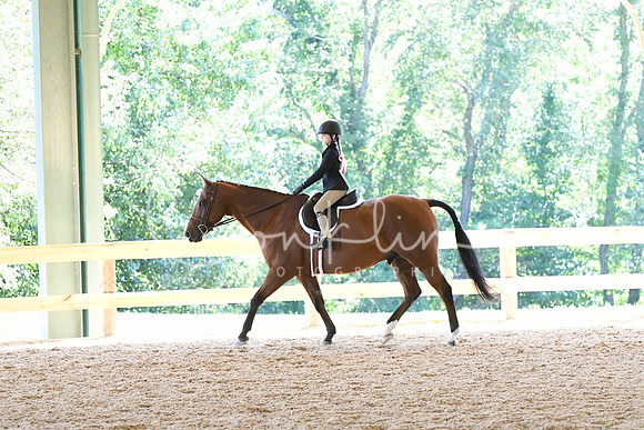 HSM_1367