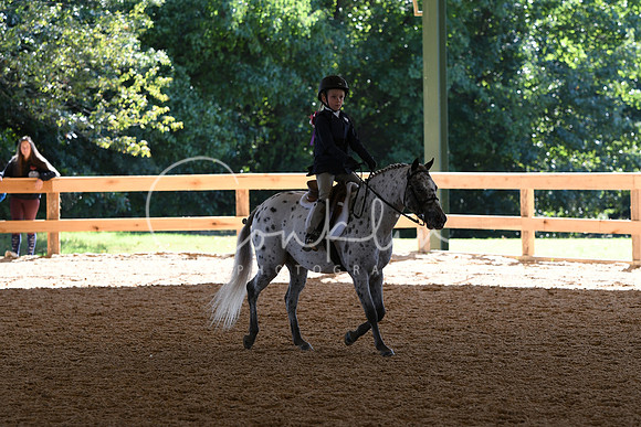 HSM_7264
