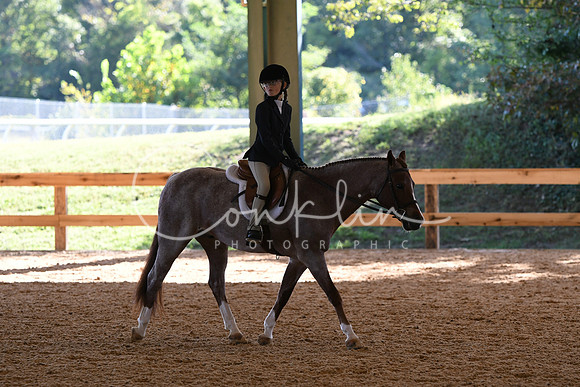 HSM_7265