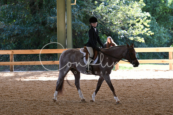 HSM_7266
