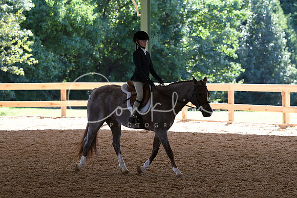 HSM_7267