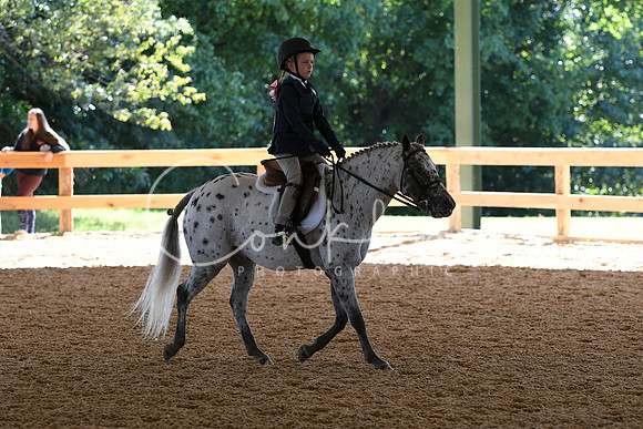 HSM_7282