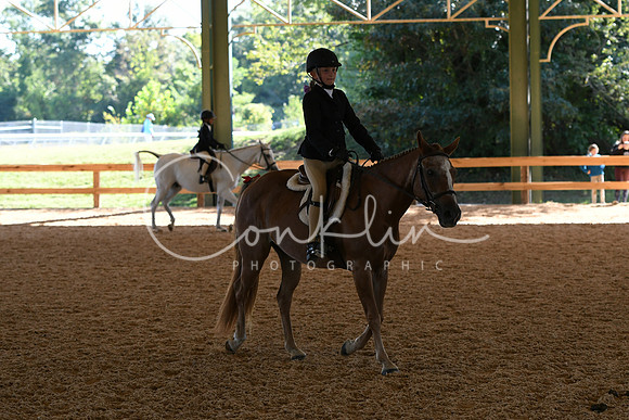 HSM_7290