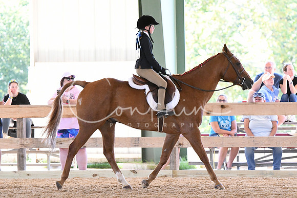 HSM_1410