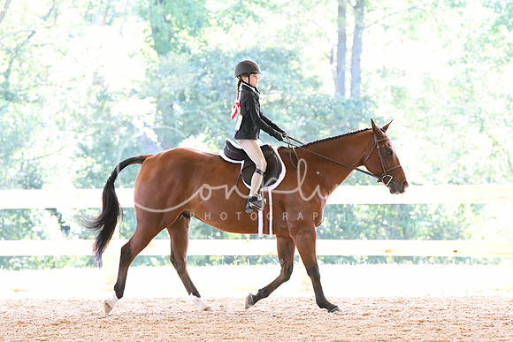 HSM_1415