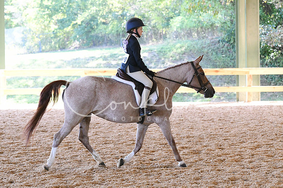 HSM_1419
