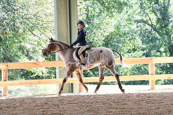 HSM_1447