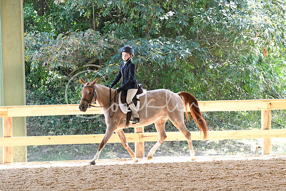 HSM_1450