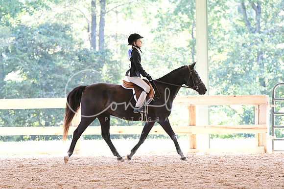 HSM_1475