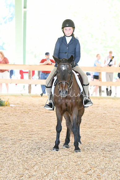 HSM_1493
