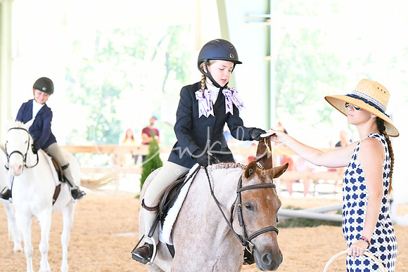 HSM_1521