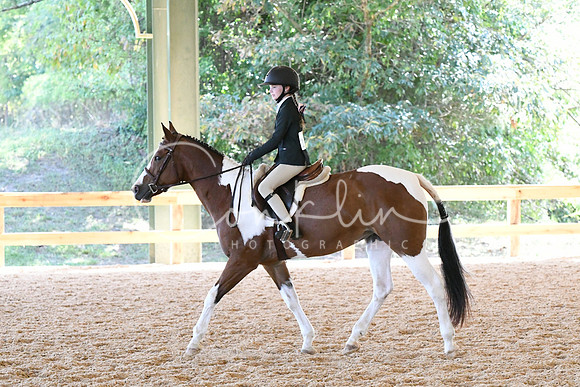 HSM_1528