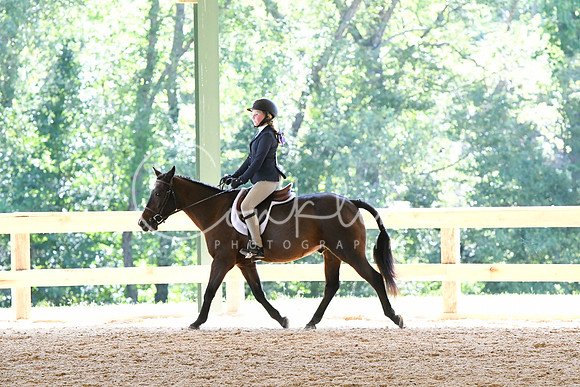 HSM_1529