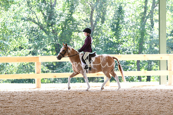 HSM_1533