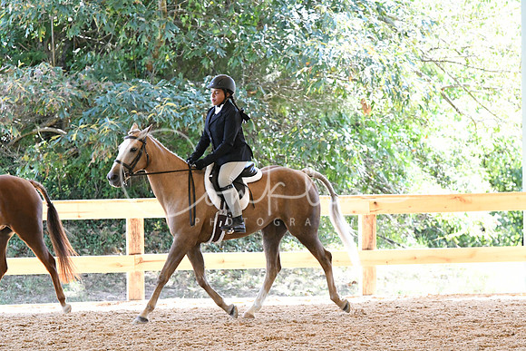 HSM_1539