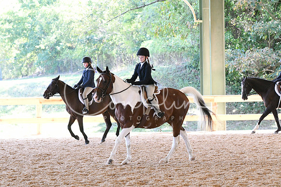 HSM_1541