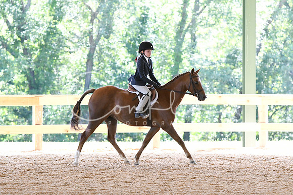 HSM_1564