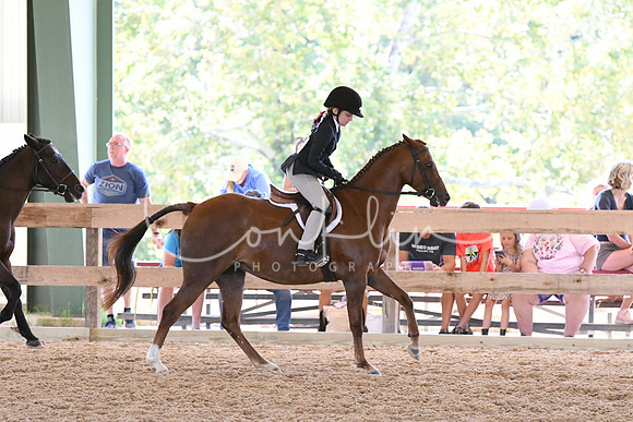HSM_1581