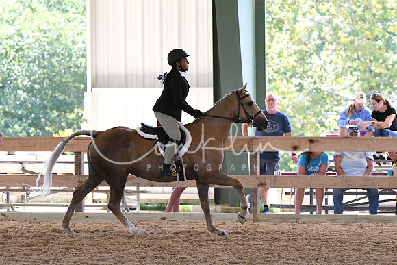 HSM_1585